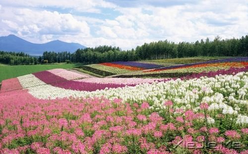 早安心语：人生，就是你一个人的人生 (3)