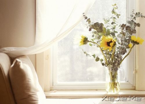 早安心语：有的路，要心去走 (4)