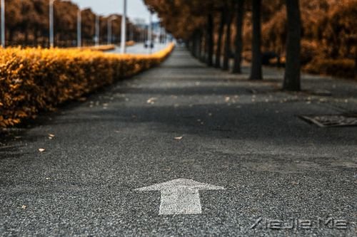 早安心语：有的路，要心去走 (10)