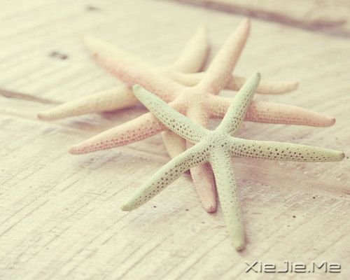 睡在向日葵上，即使沮丧，也能面朝阳光 (9)