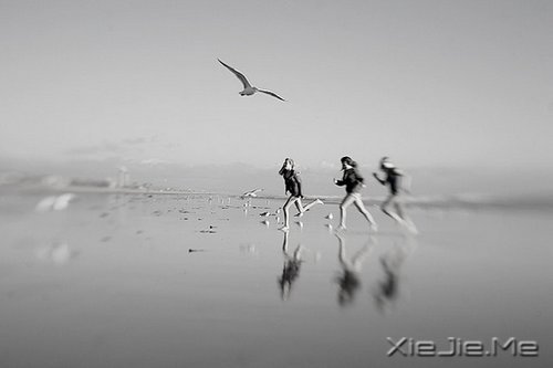 文字：青春，是一本太仓促的书 (2)