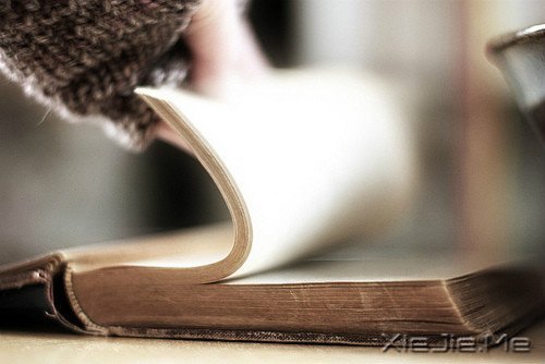 文字：青春，是一本太仓促的书 (4)