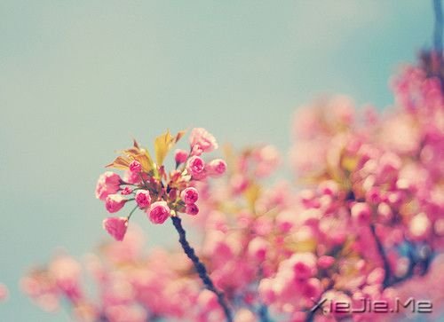 一个人成功与否，主要取决于他的心态